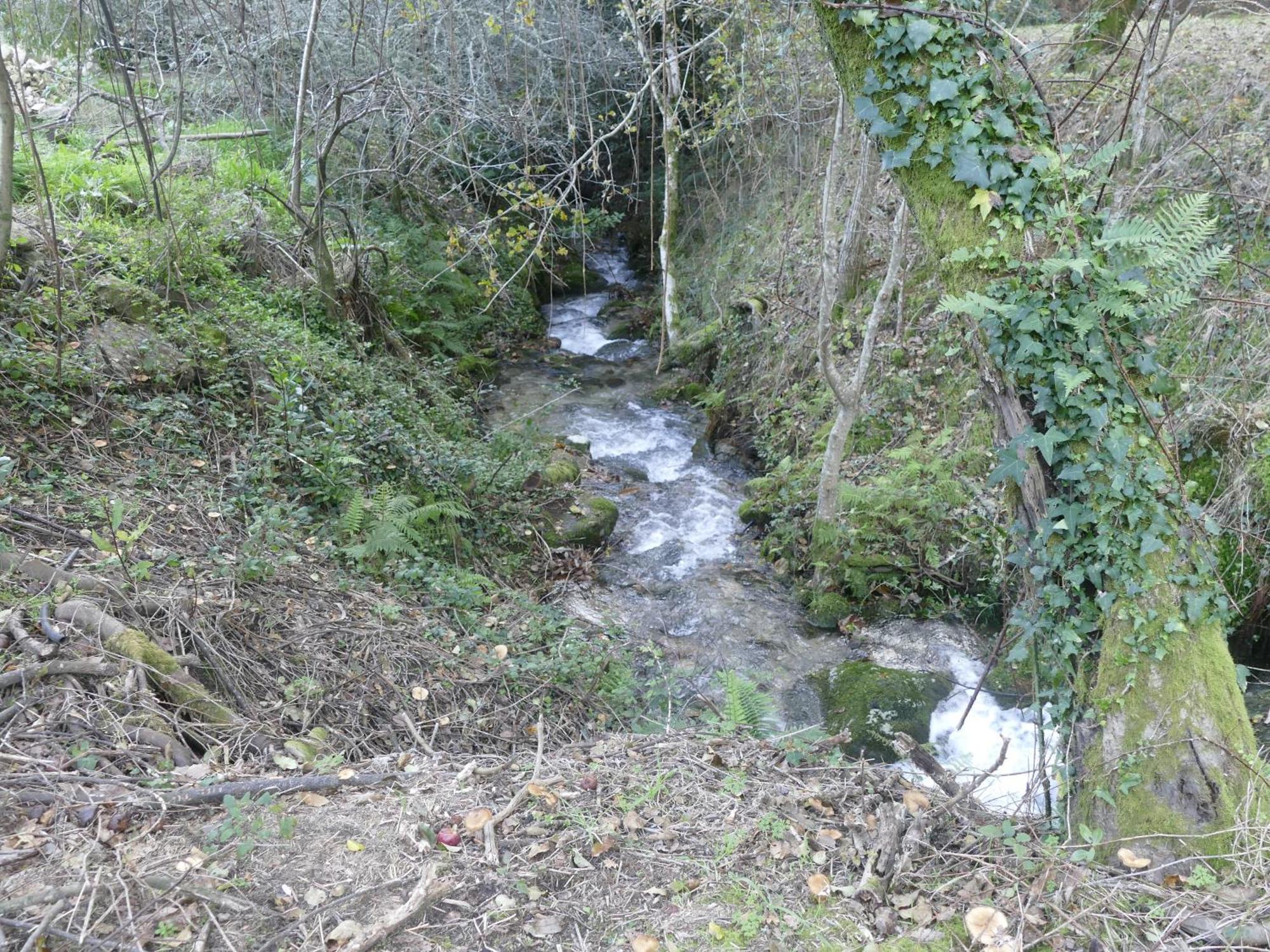 Casita A Estrenar En Finca Con Rio Proxima A Tui, Gondomar Y Portugal. Exterior foto